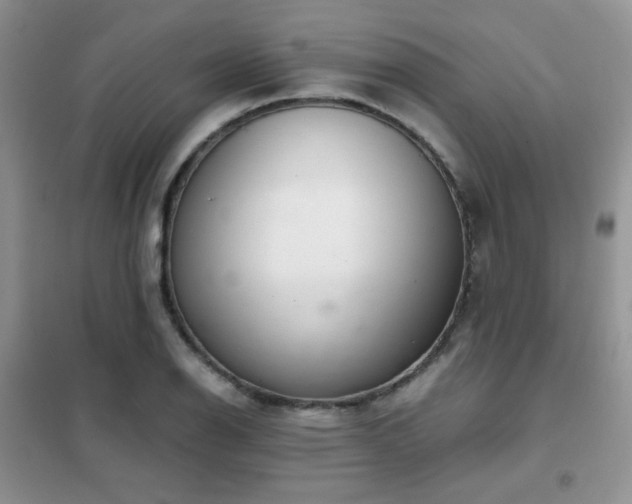 X0000102341126200808011134