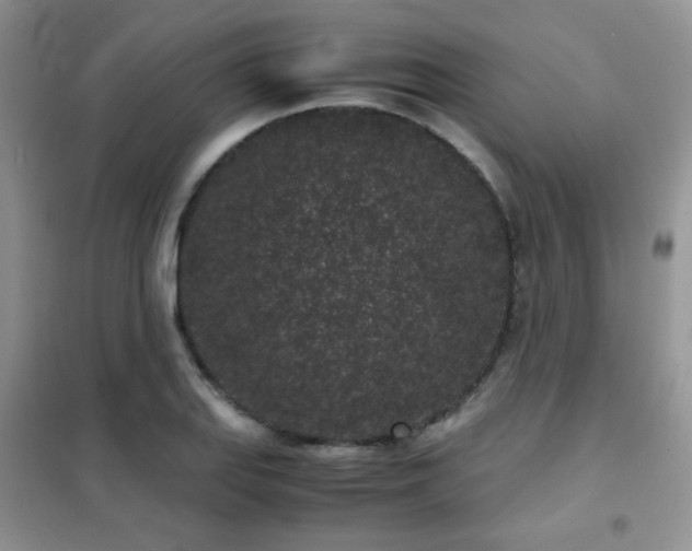 X0000102341127200808011134