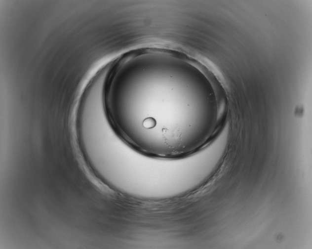 X0000102341128200808011134