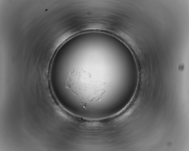 X0000102341129200808011134