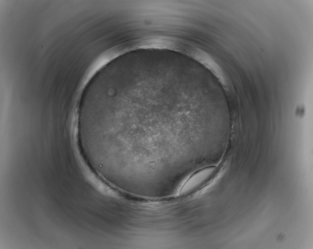 X0000102341130200808011134