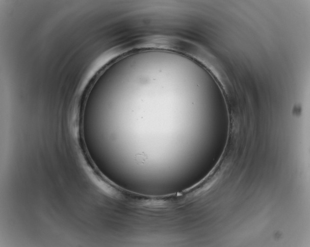 X0000102341131200808011134