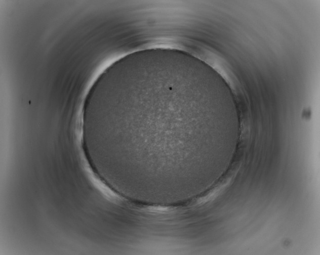 X0000102341132200808011134