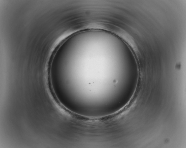 X0000102341133200808011134