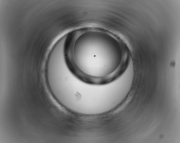 X0000102341134200808011134