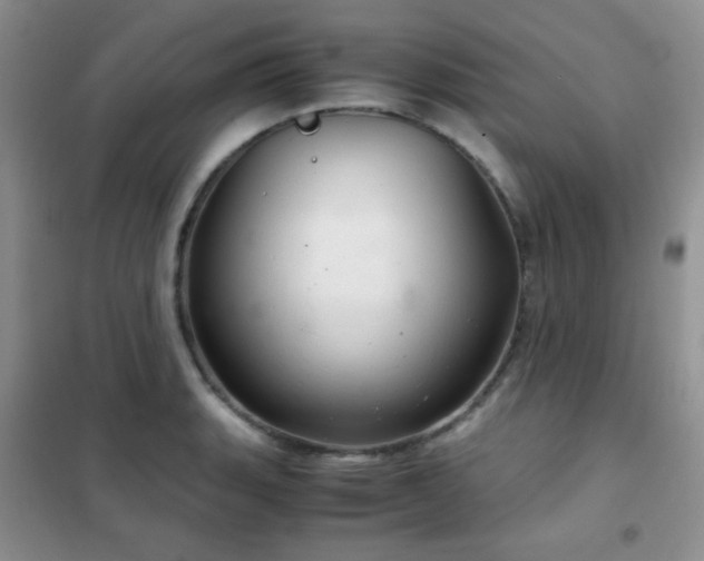 X0000102341135200808011134