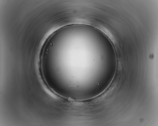 X0000102341136200808011134