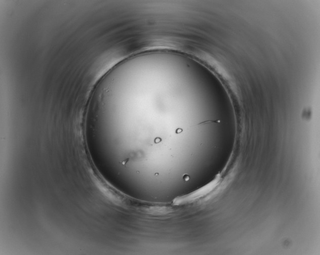 X0000102341137200808011134