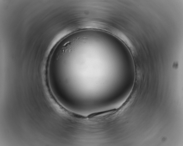 X0000102341138200808011135