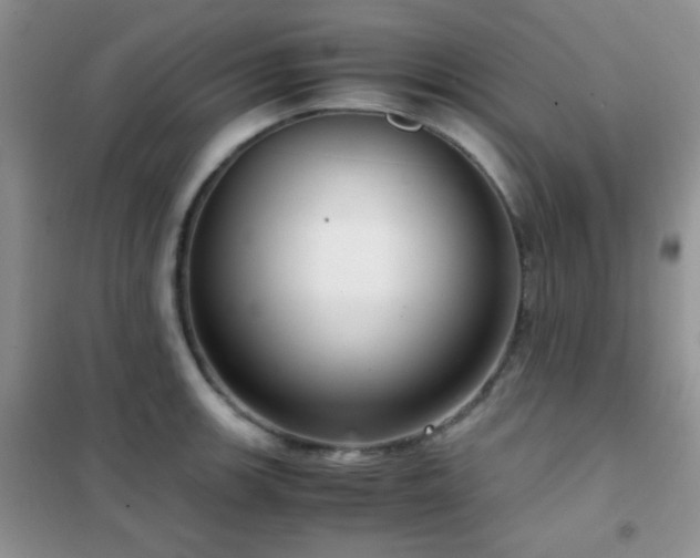 X0000102341139200808011135