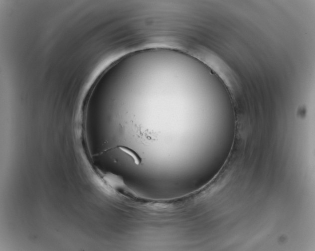 X0000102341140200808011135