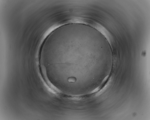 X0000102341141200808011135