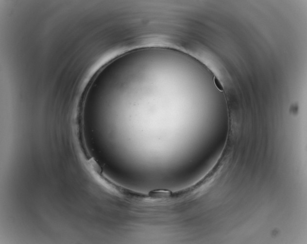 X0000102341142200808011135