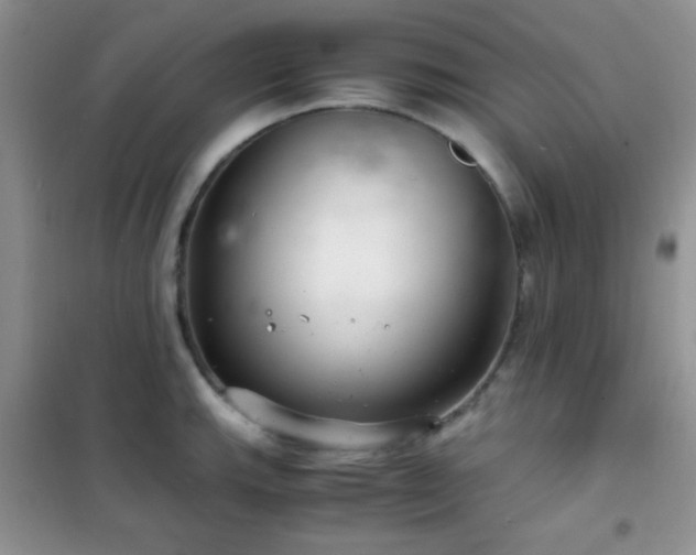 X0000102341143200808011135