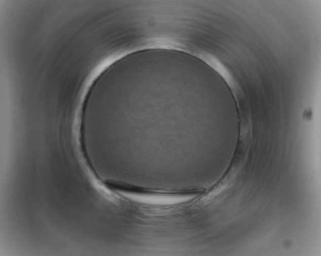 X0000102341144200808011135