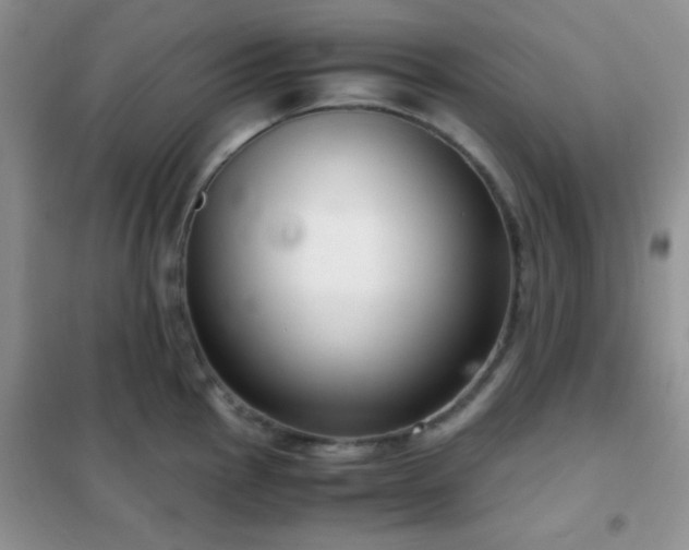 X0000102341145200808011135