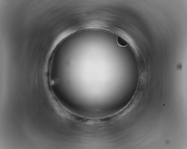 X0000102341146200808011135