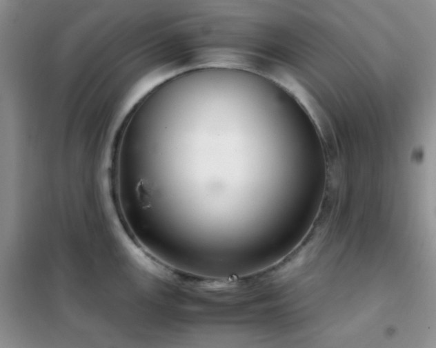 X0000102341147200808011135