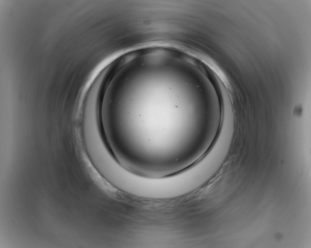 X0000102341148200808011135