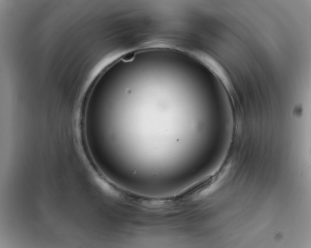 X0000102341149200808011135