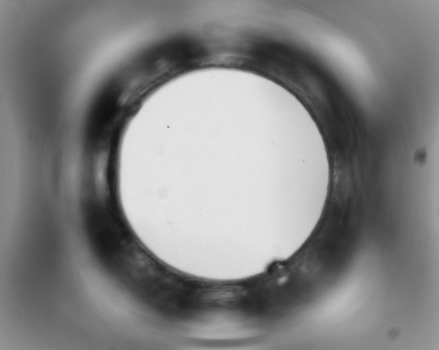 X0000102341150200808011135