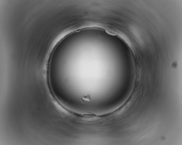 X0000102341151200808011135