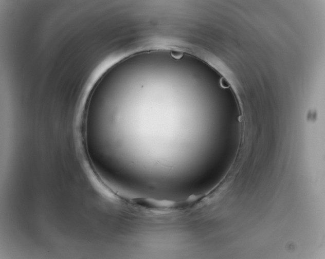 X0000102341152200808011135