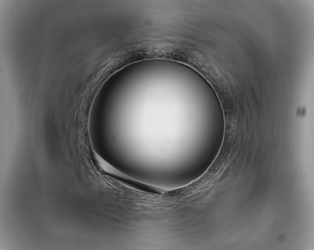 X0000102341153200808011134