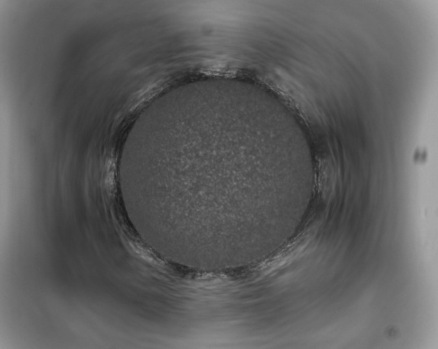 X0000102341154200808011134