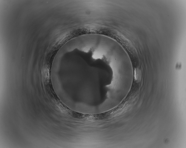 X0000102341155200808011134