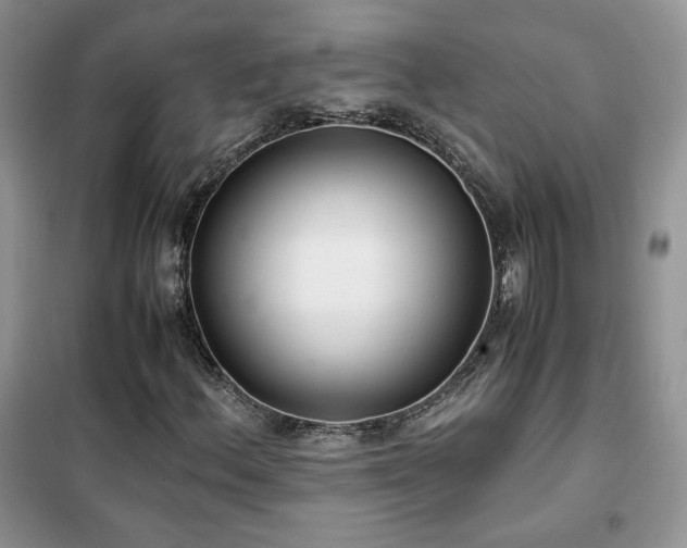 X0000102341156200808011134