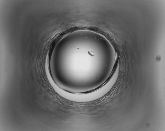 X0000102341157200808011134