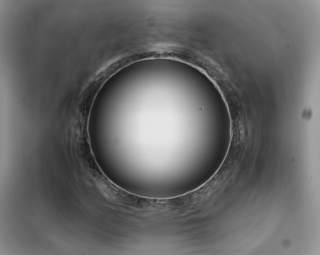 X0000102341158200808011134