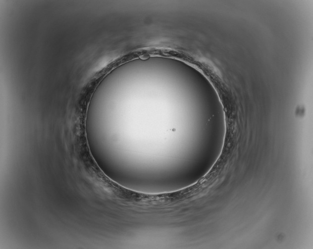 X0000102341159200808011134