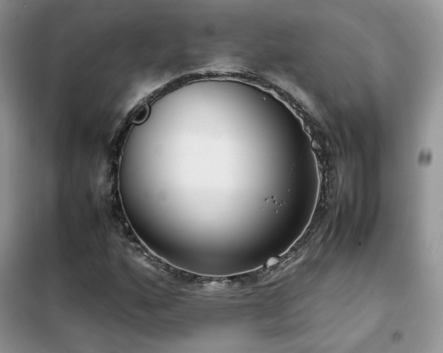 X0000102341160200808011134