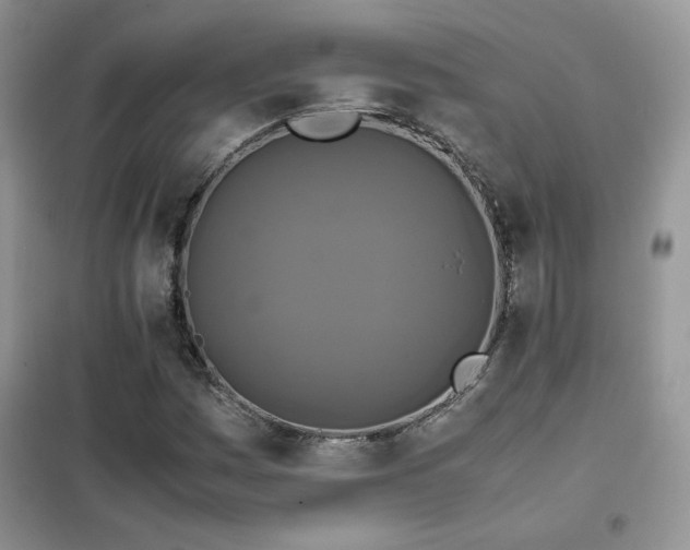 X0000102341161200808011134