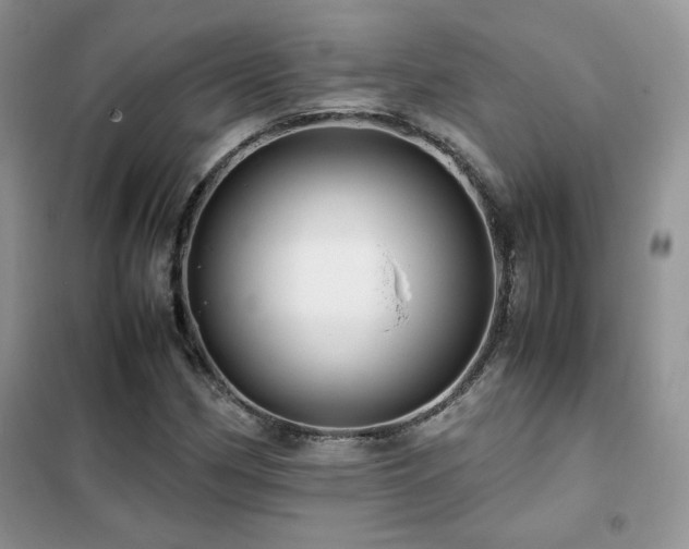 X0000102341162200808011134