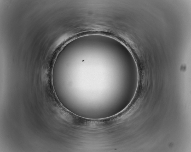 X0000102341163200808011134