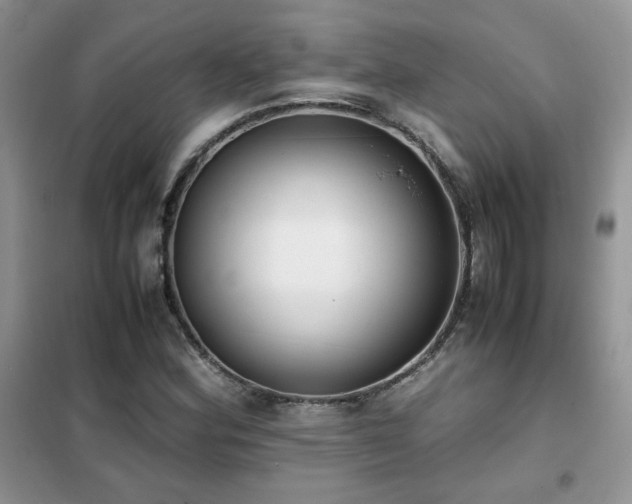 X0000102341164200808011134