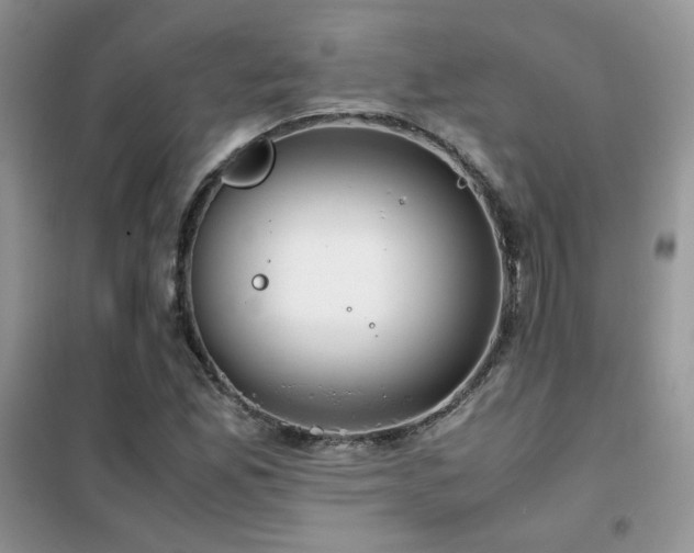 X0000102341165200808011134