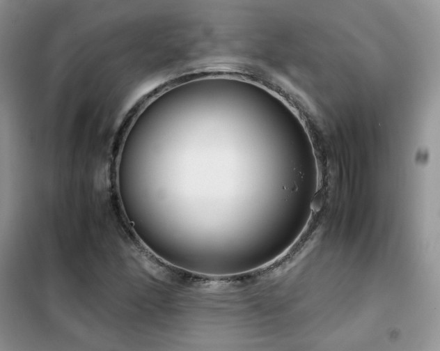 X0000102341166200808011134