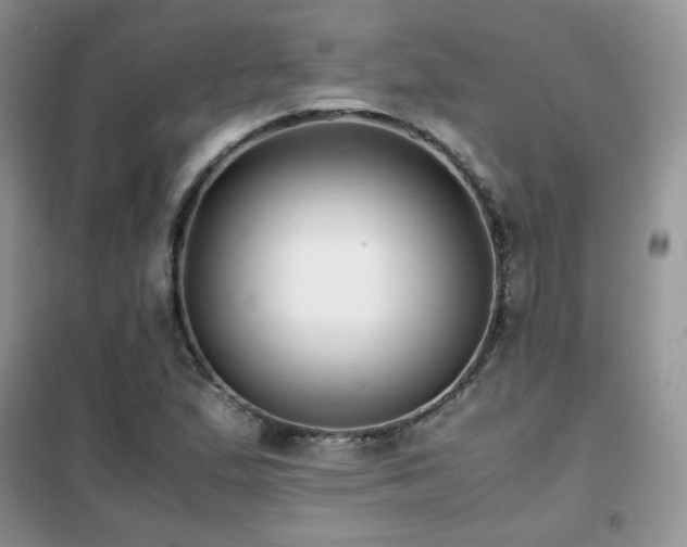 X0000102341167200808011134