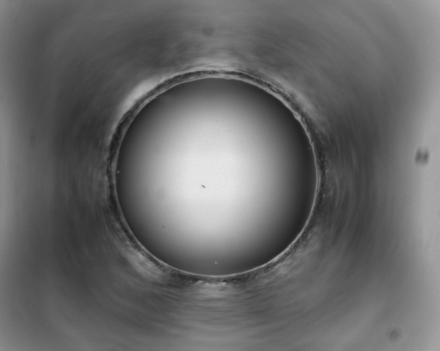 X0000102341168200808011134