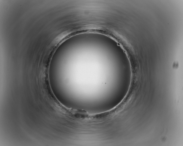 X0000102341169200808011134