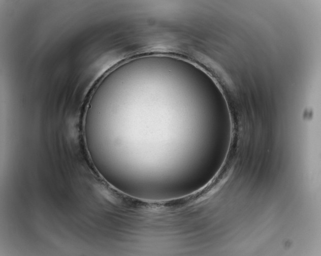 X0000102341170200808011134