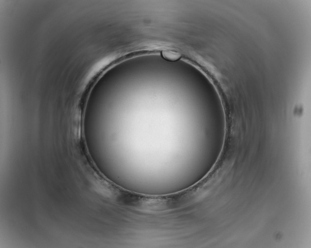 X0000102341171200808011134