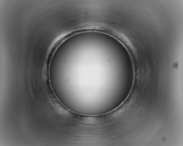 X0000102341172200808011134