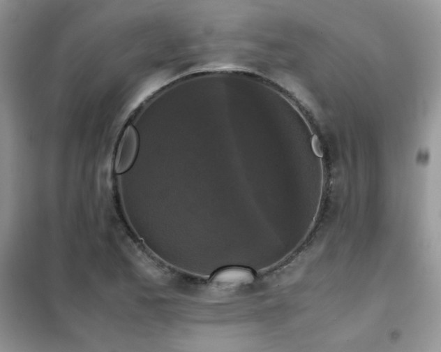 X0000102341173200808011134