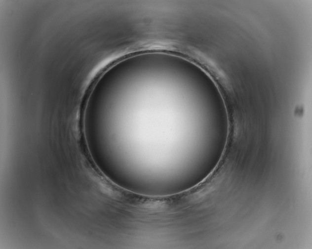 X0000102341174200808011134