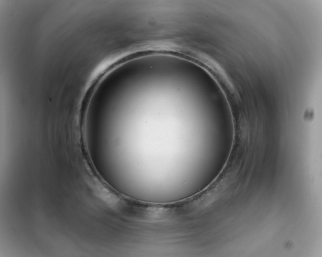 X0000102341176200808011133